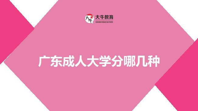 广东成人大学分哪几种