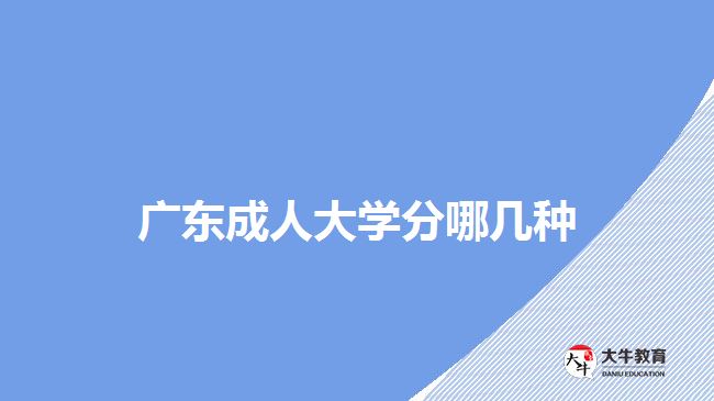 广东成人大学分哪几种