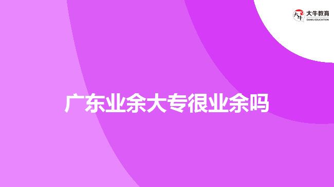 广东业余大专很业余吗