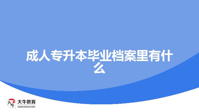 成人专升本毕业档案里有什么