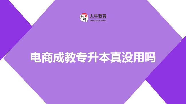 电商成教专升本真没用吗