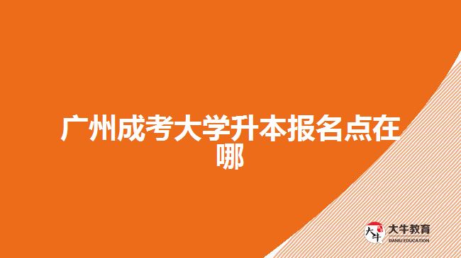 广州成考大学升本报名点在哪