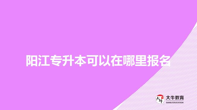 阳江专升本可以在哪里报名