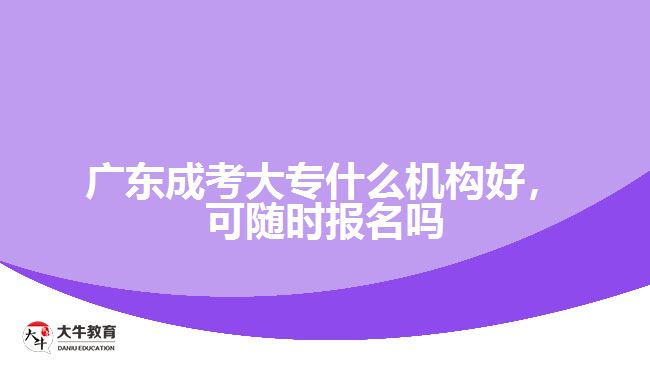 广东成考大专什么机构好，可随时报名吗
