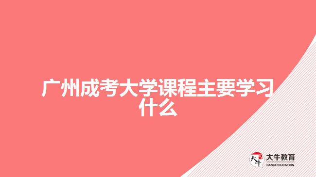广州成考大学课程主要学习什么