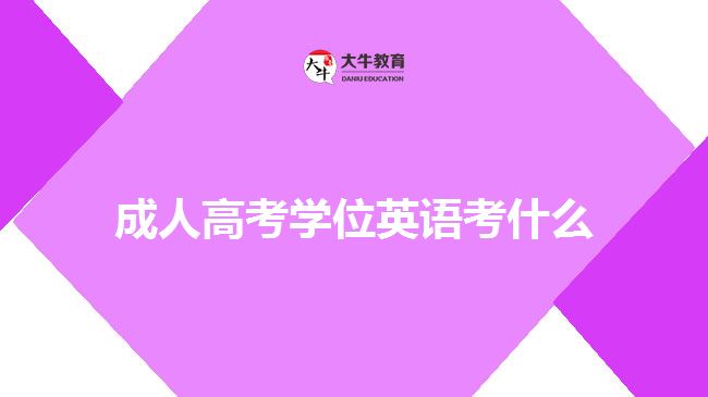 成人高考学位英语考什么