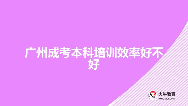 广州成考本科培训效率好不好