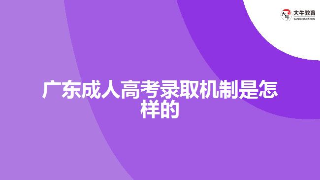 广东成人高考录取机制是怎样的