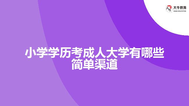 小学学历考成人大学有哪些简单渠道