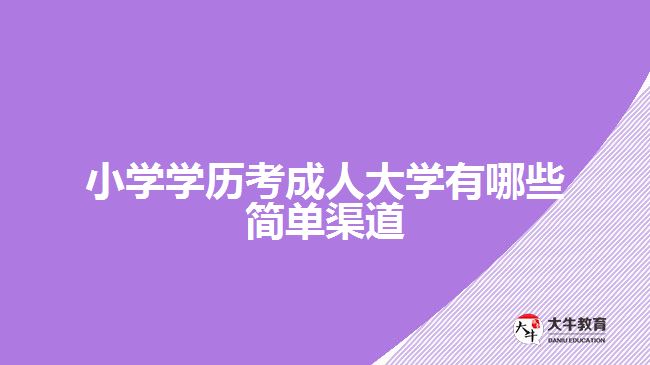 小学学历考成人大学有哪些简单渠道