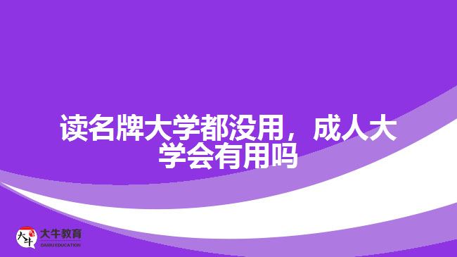 读名牌大学都没用，成人大学会有用吗