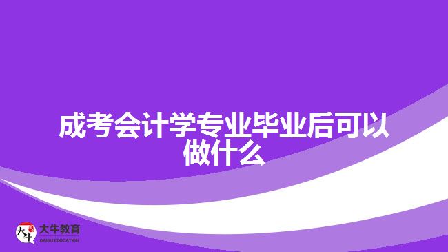 成考会计学专业毕业后可以做什么