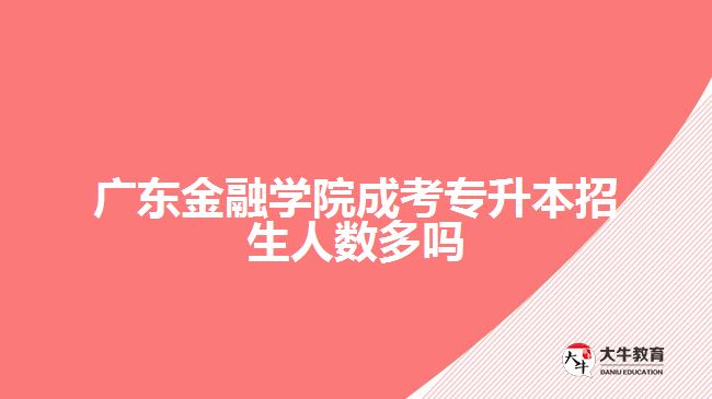 广东金融学院成考专升本招生人数多吗