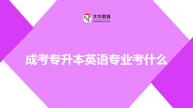 成考专升本英语专业考什么