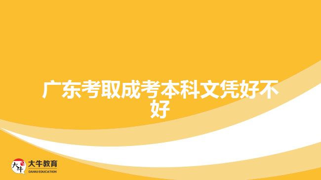 广东考取成考本科文凭好不好