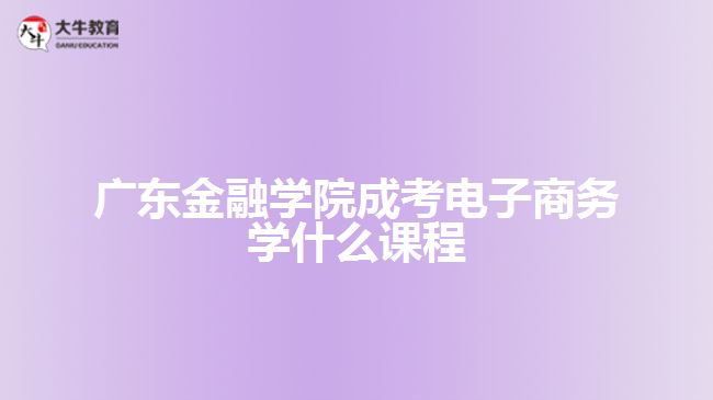 广东金融学院成考电子商务学什么课程