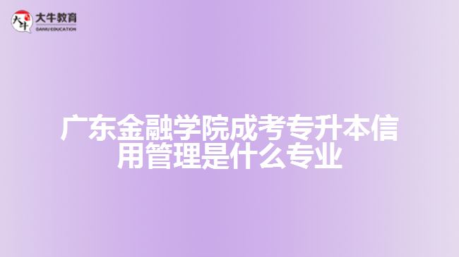 广东金融学院成考专升本信用管理是什么专业