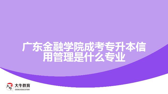 广东金融学院成考专升本信用管理是什么专业