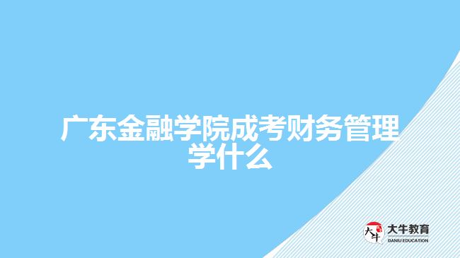 广东金融学院成考财务管理学什么