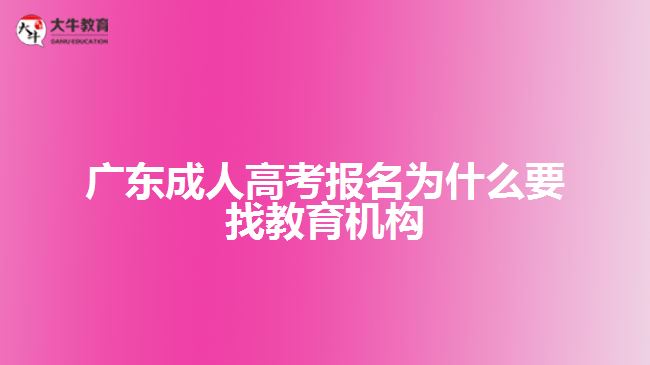 广东成人高考报名为什么要找教育机构