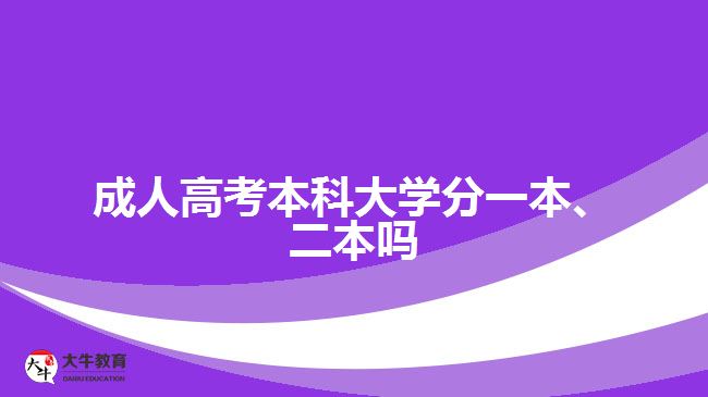 成人高考本科大学分一本、二本吗