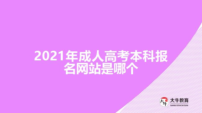 2021年成人高考本科报名网站是哪个