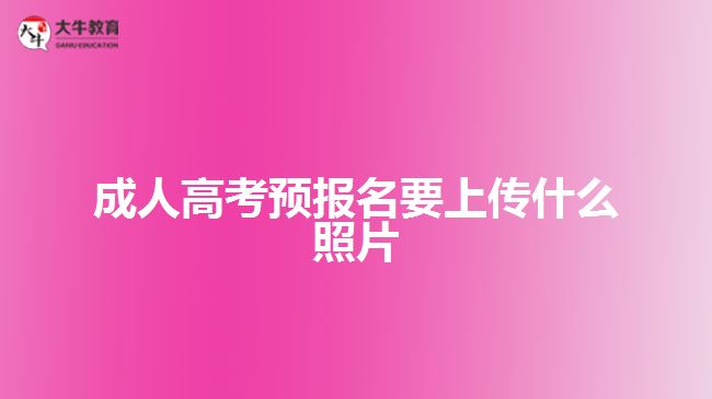 成人高考预报名要上传什么照片