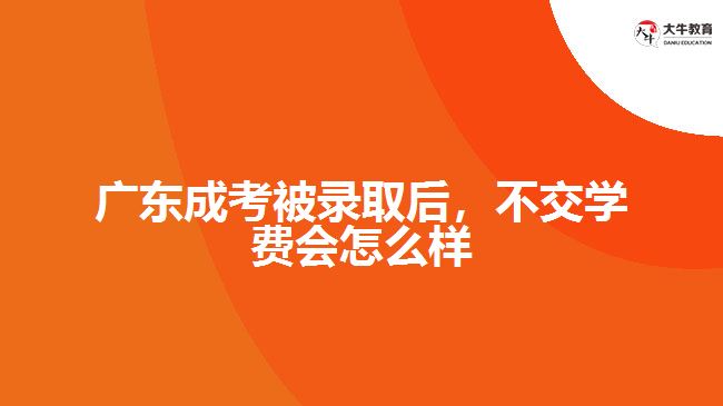 广东成考被录取后，不交学费会怎么样