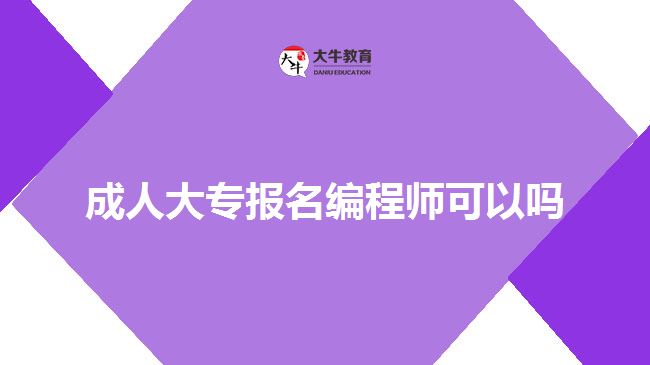 成人大专报名编程师可以吗