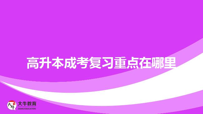 高升本成考复习重点在哪里