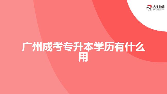 广州成考专升本学历有什么用