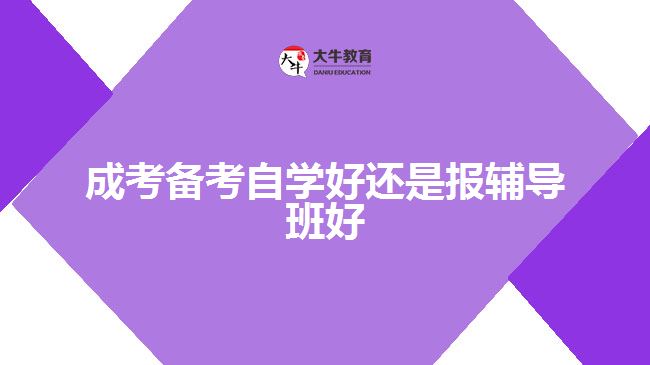 成考备考自学好还是报辅导班好