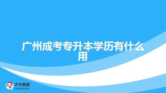 广州成考专升本学历有什么用