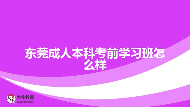 东莞成人本科考前学习班怎么样