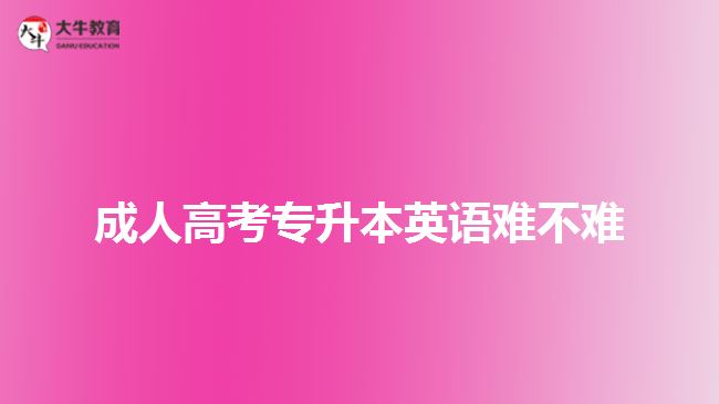成人高考专升本英语难不难