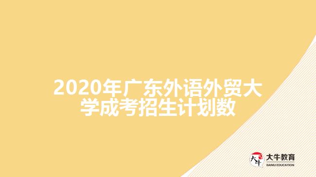 2020年广东外语外贸大学成考招生计划数