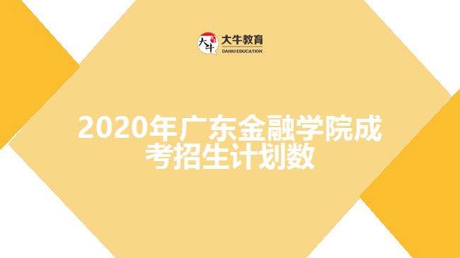 2020年广东金融学院成考招生计划数