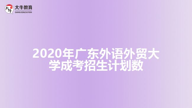 2020年广东外语外贸大学成考招生计划数