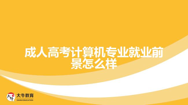 成人高考计算机专业就业前景怎么样