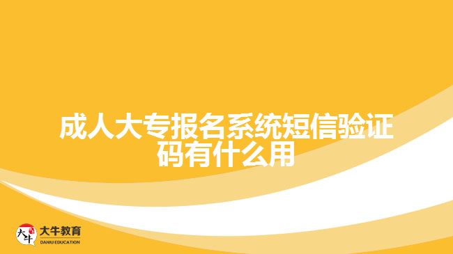 成人大专报名系统短信验证码有什么用