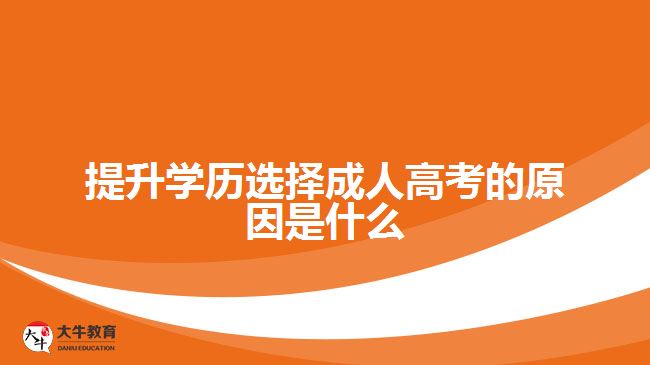 提升学历选择成人高考的原因是什么