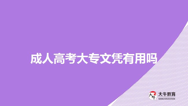 成人高考大专文凭有用吗