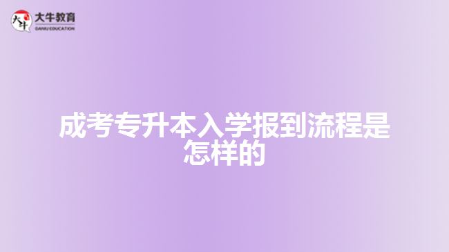 成考专升本入学报到流程是怎样的