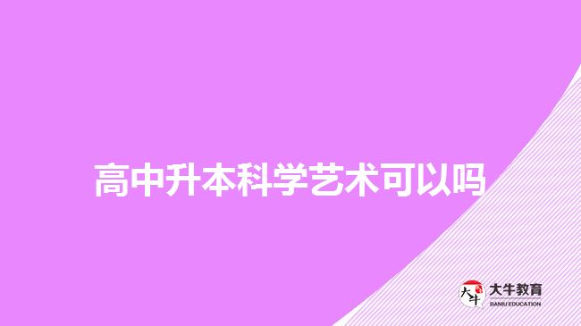 高中升本科学艺术可以吗