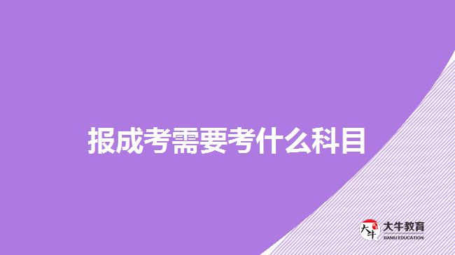 <b>报成考需要考什么科目</b>