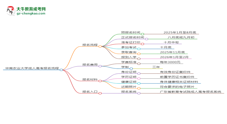 华南农业大学成考人力资源管理专业2025年报名流程思维导图