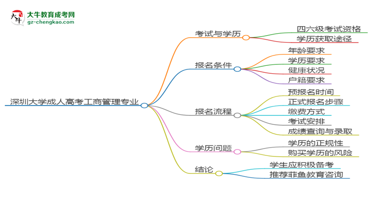 深圳大学2025年成考工商管理专业生可不可以考四六级？