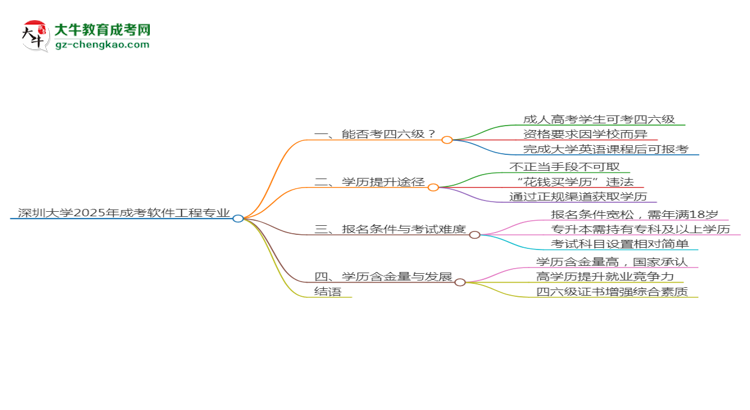 深圳大学2025年成考软件工程专业生可不可以考四六级？