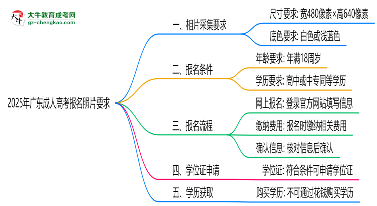2025年广东成人高考报名照片要求：尺寸+底色思维导图