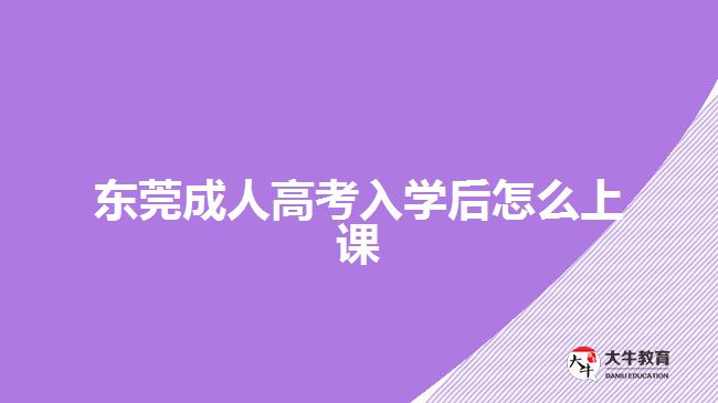 东莞成人高考入学后怎么上课